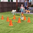 Four-Jump Dog Agility Set with Cones and Poles – Orange