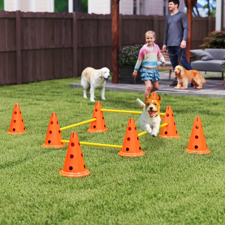 Four-Jump Dog Agility Set with Cones and Poles – Orange