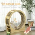 Cat Exercise Wheel with Brake and Replaceable Scratching Pad – Oak Tone