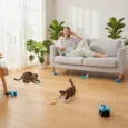 Remote-Control Cat Chase Toy with Adjustable Track – Black