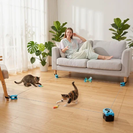 Remote-Control Cat Chase Toy with Adjustable Track – Black