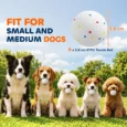 ETPU Dog Fetch Balls – Pack of Six, 5.8cm