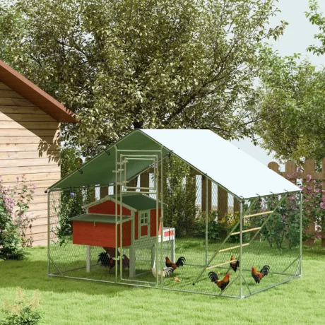Walk-In Steel Chicken Run with Cover and Feeder – 3 × 2m
