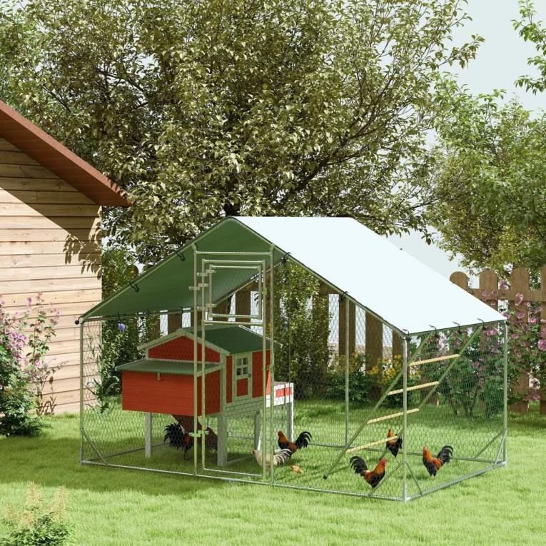 Walk-In Steel Chicken Run with Cover and Feeder – 3 × 2m