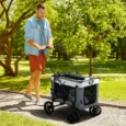Folding Pet Stroller with Detachable Carrier – Grey, 10kg