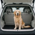 Adjustable Metal Car Dog Guard – Black, 90–120cm