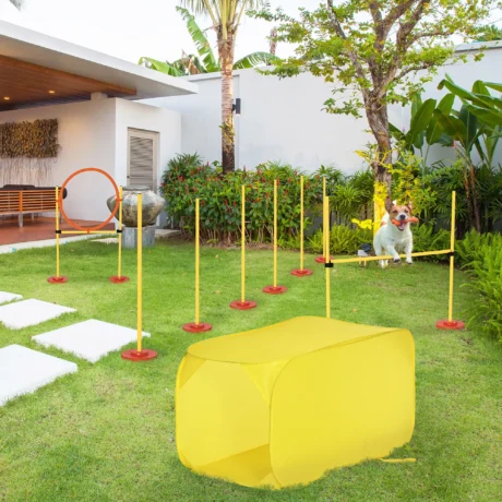Dog Agility Course with Tunnel, Jump Ring and Weave Poles – Yellow