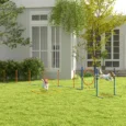 Dog Agility Set with Ring, Hurdle and Weave Poles – Orange