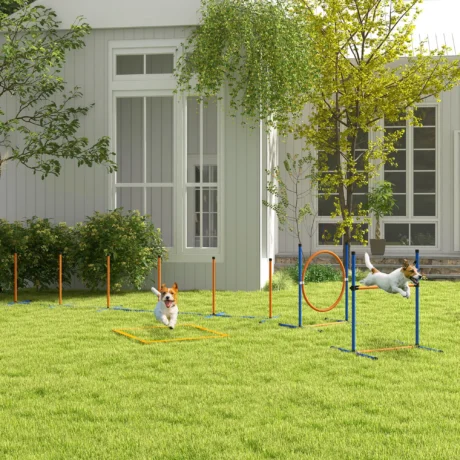 Dog Agility Set with Ring, Hurdle and Weave Poles – Orange