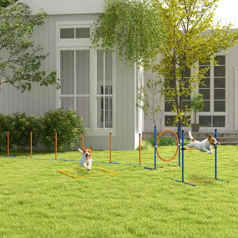 Dog Agility Set with Ring, Hurdle and Weave Poles – Orange