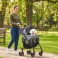 Folding Pet Stroller with Lift-Off Carrier – Grey, 10kg Capacity