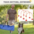 Four-Piece Adjustable Dog Agility Gate Set – Orange