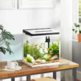 13L Glass Aquarium with Filter and LED Light – White