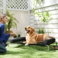Raised Mesh Dog Bed with Removable Bolster – Black, 130cm