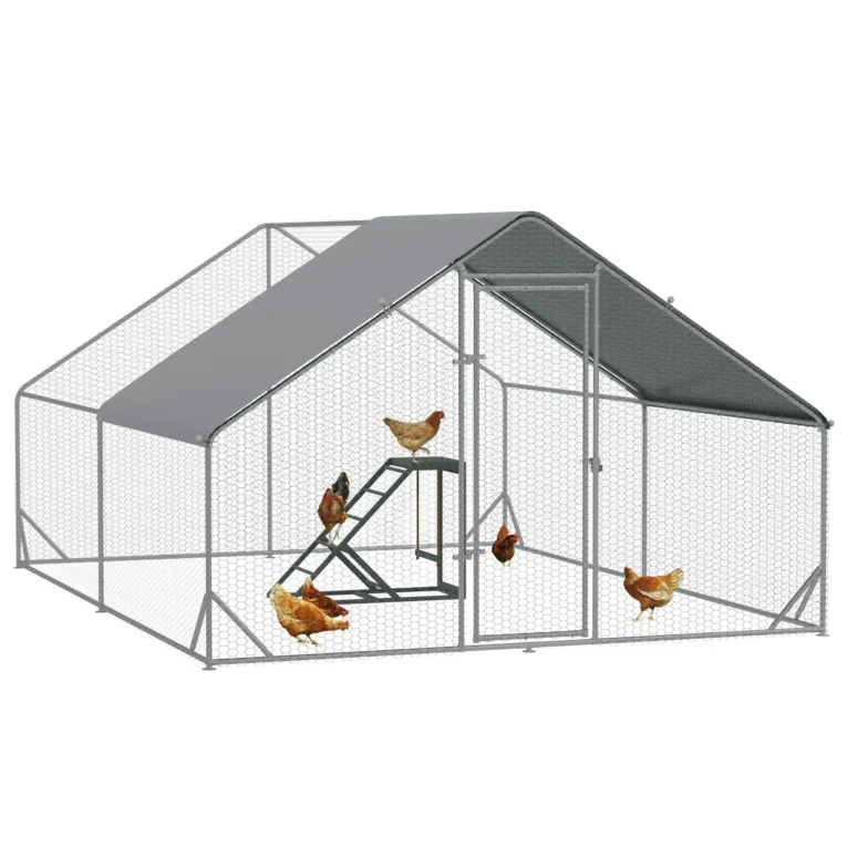 Chicken Run with Activity Shelf – 3 × 4m Chicken Run with Activity Shelf – 3 × 4m