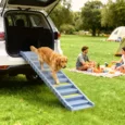 Folding Dog Car Ramp with Ten Stepped Treads – Grey, 154cm
