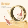 Cat Exercise Wheel with Brake and Replaceable Scratching Pad – Oak Tone