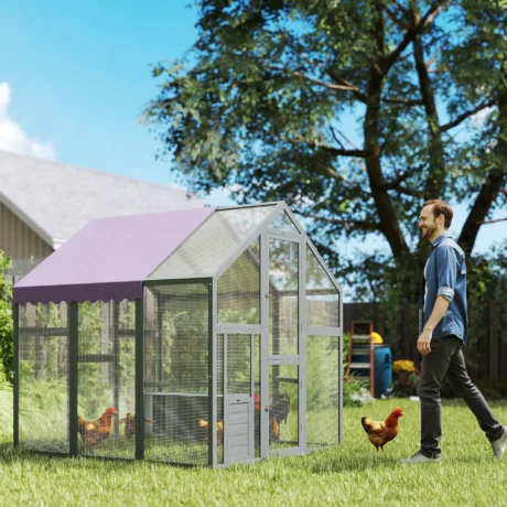 Walk-In Wooden Chicken Run with Nest Boxes and Cover – Purple Grey