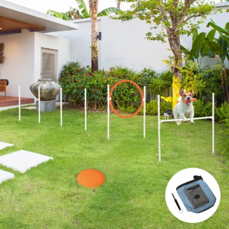 Dog Agility Set with Hurdle, Ring and Weave Poles &ndash; detail 2