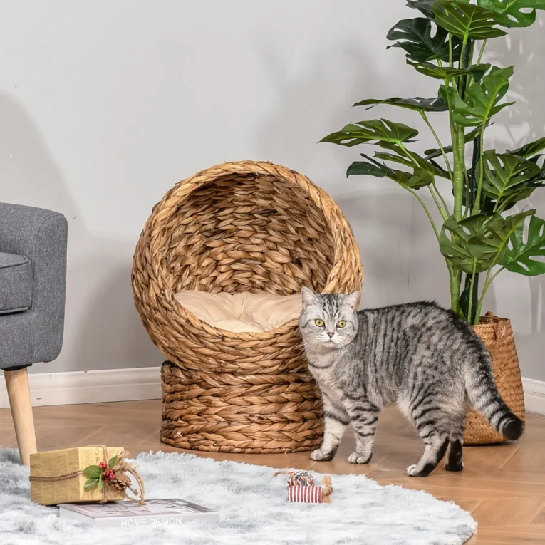 Raised Woven Cat Den with Cushion – Brown
