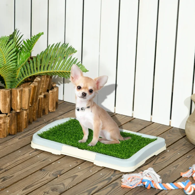 Portable Puppy Training Pad with Tray 46.5x34cm – Blue, white and green