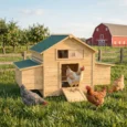 Wooden Hen House with Nesting Box – Yellow and Green