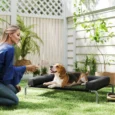 Raised Dog Bed with Removable Bolster – Black, 110cm